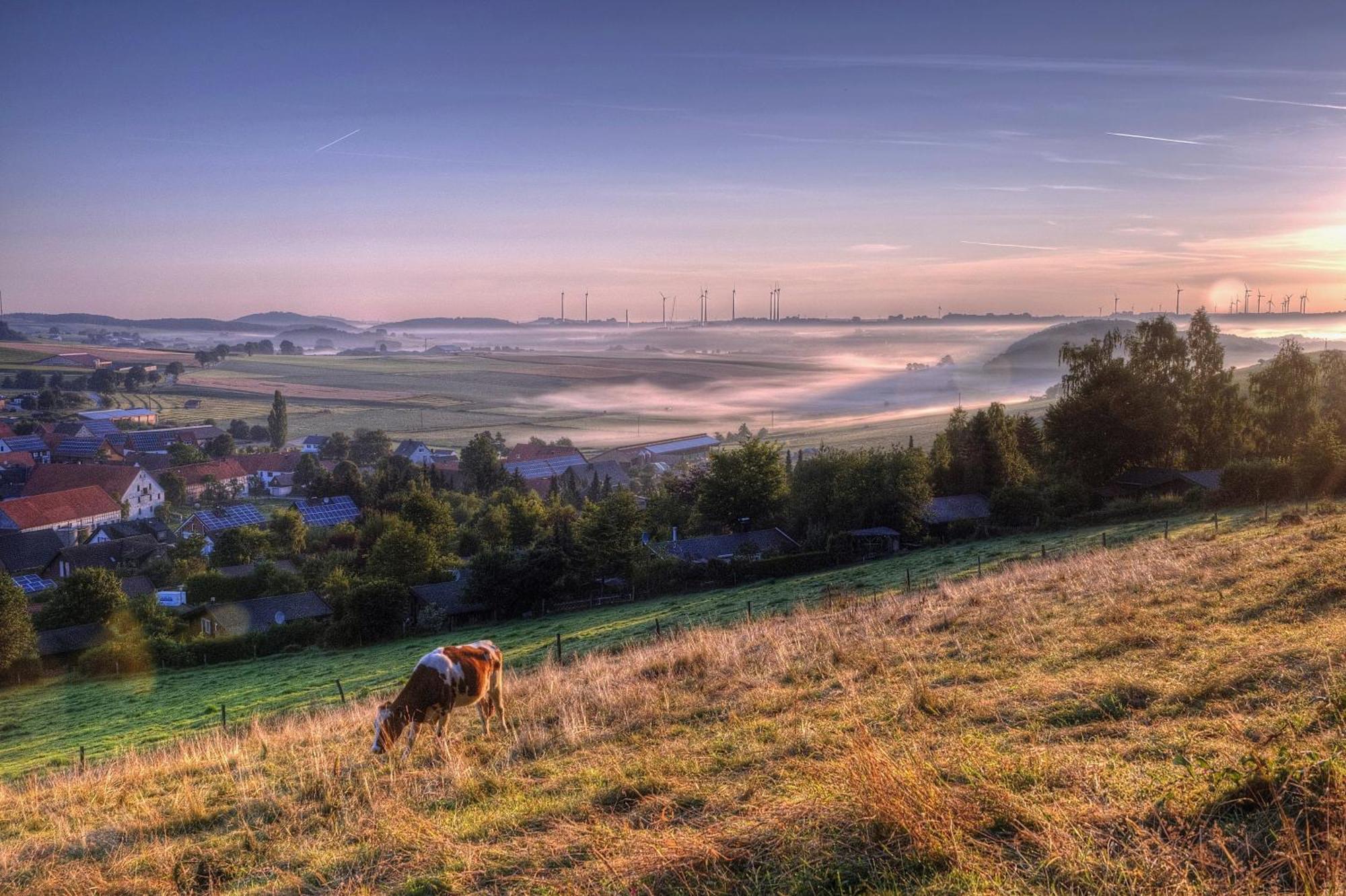 Diemelsee Sudeck - Ein Ferienhaeuschen Zum Wohlfuehlen ภายนอก รูปภาพ