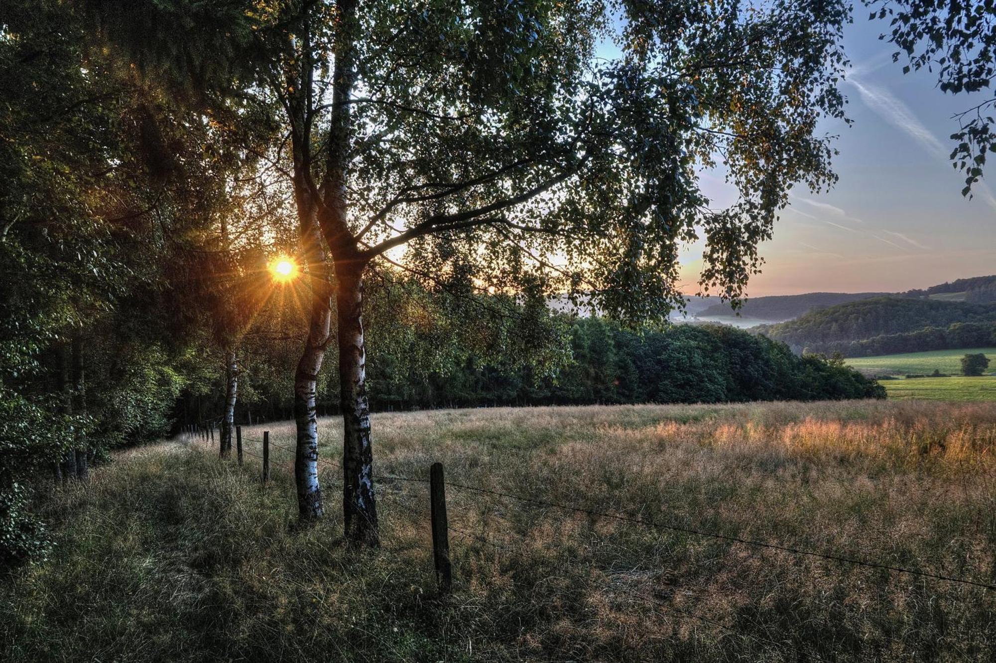 Diemelsee Sudeck - Ein Ferienhaeuschen Zum Wohlfuehlen ภายนอก รูปภาพ