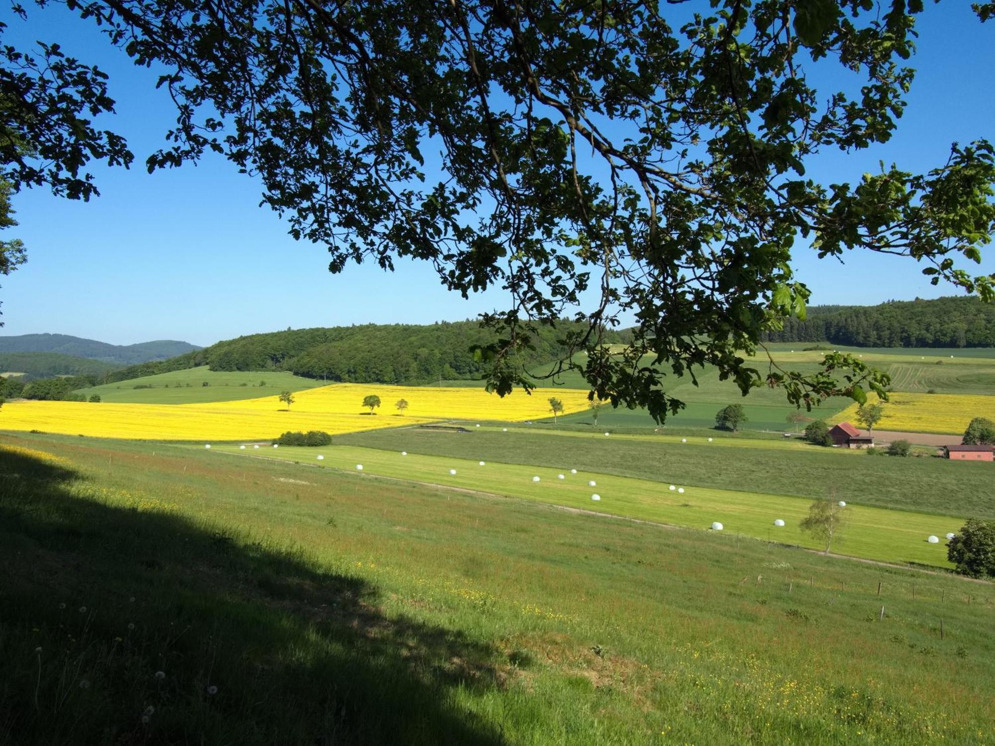 Diemelsee Sudeck - Ein Ferienhaeuschen Zum Wohlfuehlen ภายนอก รูปภาพ